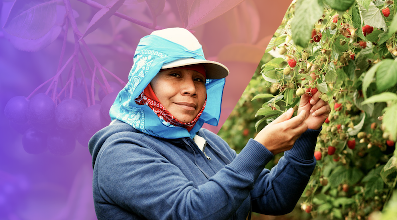 40% de la fuerza productiva en el sector agrícola está compuesta por mujeres