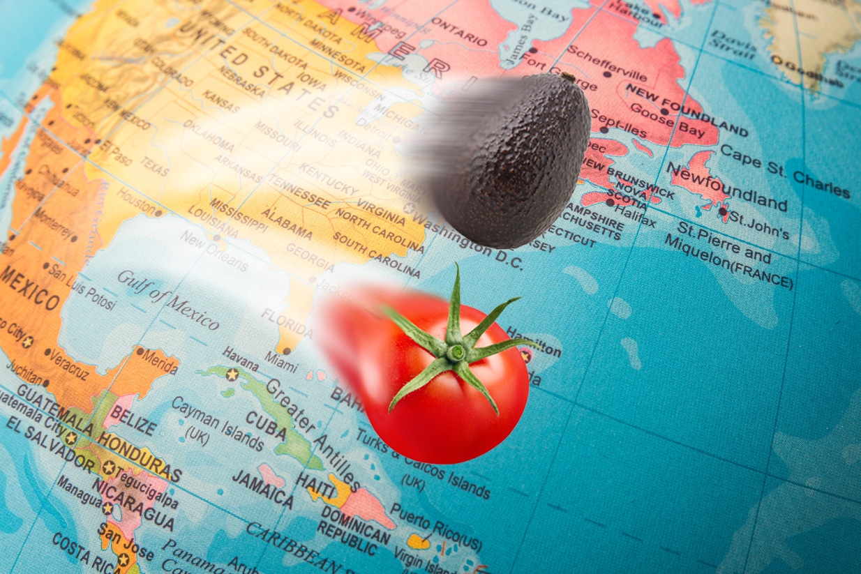 Aguacate y tomate de México para el mundo; lideran exportaciones