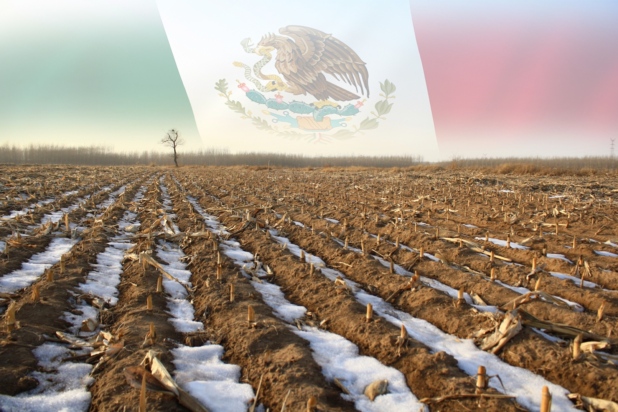 Invierno y agricultura en México