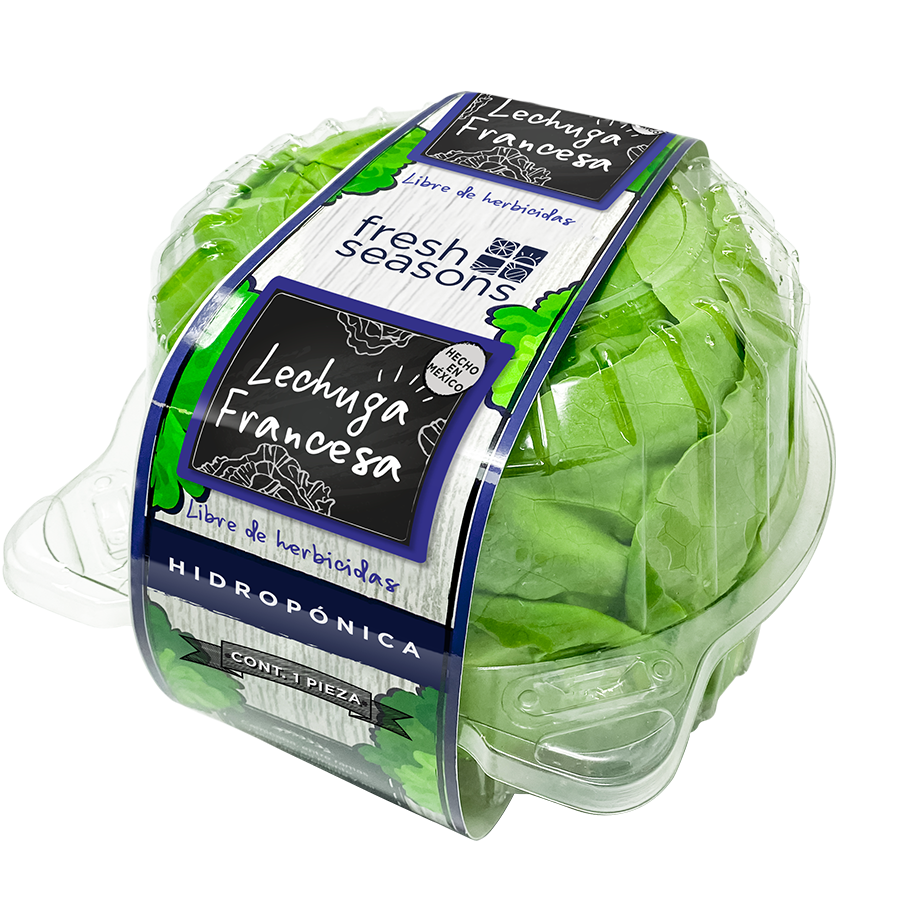 French Lettuce