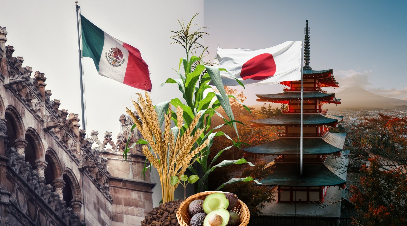 Se fortalece la relación comercial entre JAPON Y MÉXICO en temas de agricultura