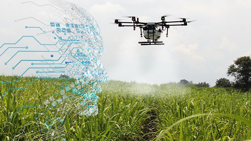 ¿Inteligencia artificial en la agricultura?