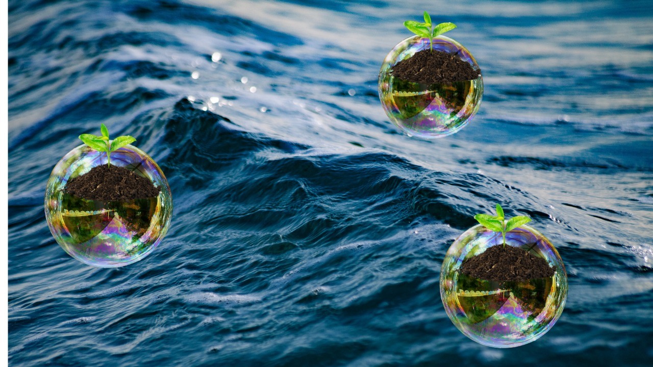 Invernaderos flotantes: Agricultura con agua de mar y lluvia