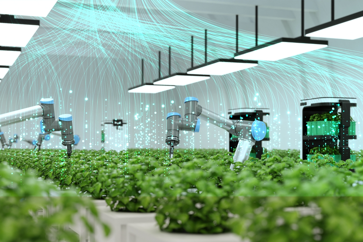 Inteligencia artificial y agricultura