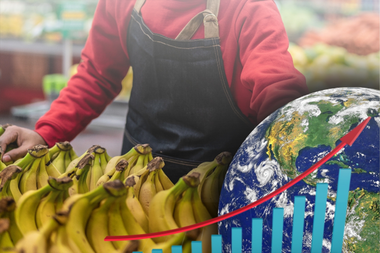 Aumento en la demanda de plátanos para finales de 2023