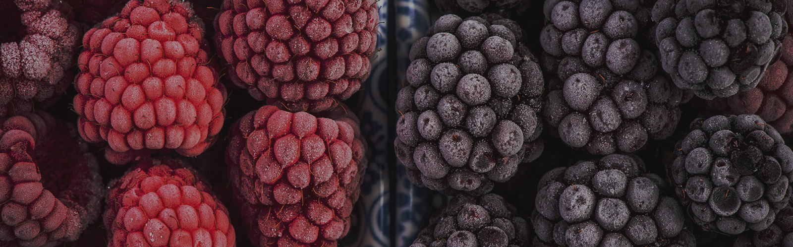 El arándano, la 'estrella' de la exportación entre las berries