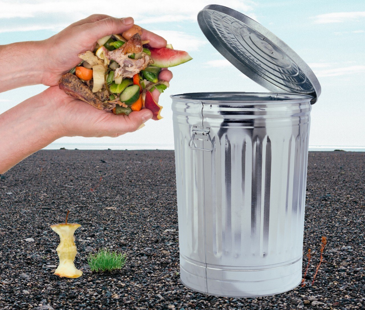 ¿Cómo evitar el desperdicio de comida?
