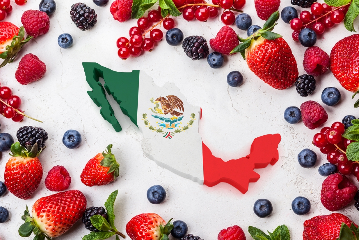 Exportaciones de berries en México
