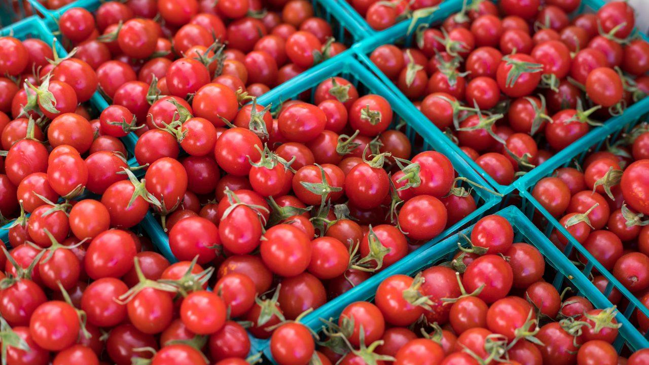 Exhortan a mantener suspendida la investigación de dumping al tomate mexicano en EU